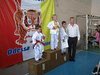 Шестой международный кубок по каратэ "Тигренок" 1-3 июня 2012 г. II место